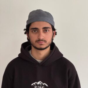 Premium hoodie (Grey)